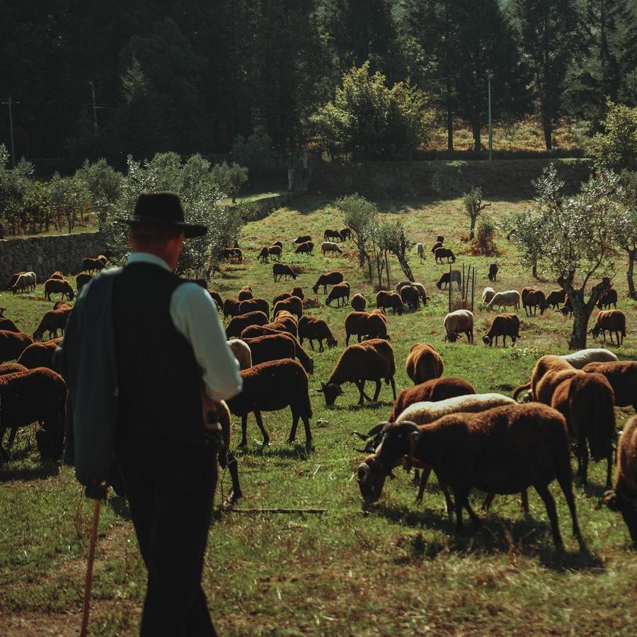 Madre De Agua Hotel Rural De Charme Gouveia  Dış mekan fotoğraf